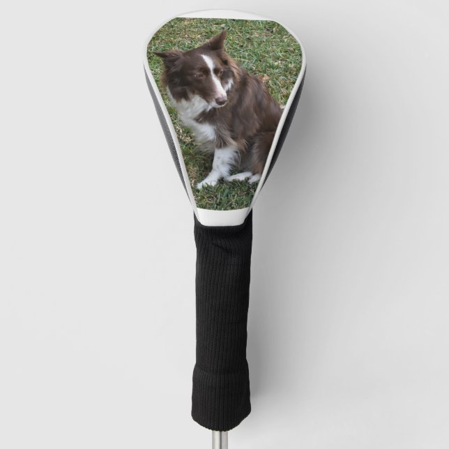bc p 5 golf headcover (Vorderseite)