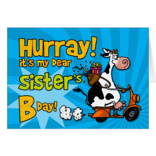 BD-Rollerkuh - Schwester