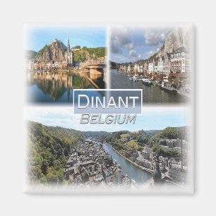 BE0050 Europe, Belgien, Dinant, Kühlschrank Magnet