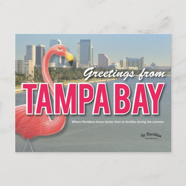 Be Floridian - Carte postale Tampa Bay (Devant)