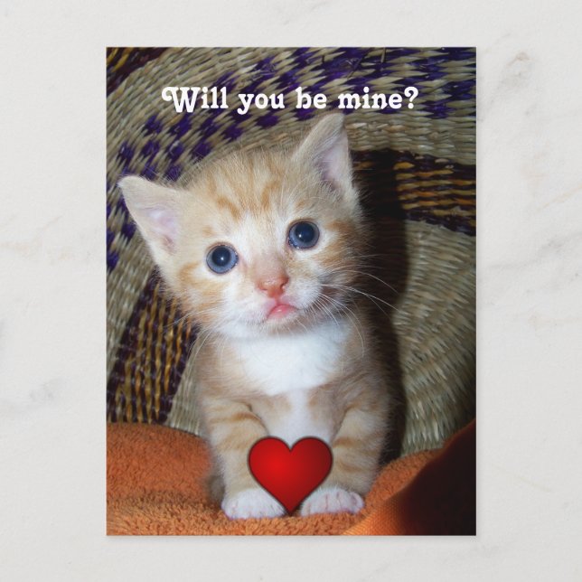 Be Mine Kitten Postkarte (Vorderseite)