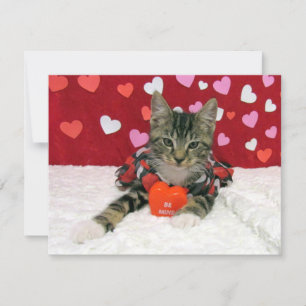 Be My Valentine - Bandit Cat / Kitten - Carte Plat