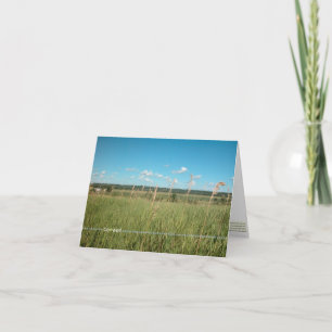 be*well_paint Bürsten im Himmel Karte