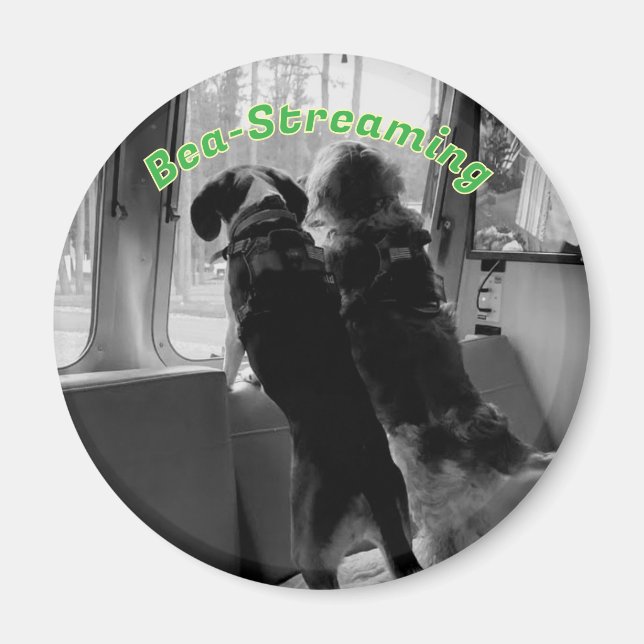 Bea-Streaming-Hunde-Magnet Magnet (Vorne)