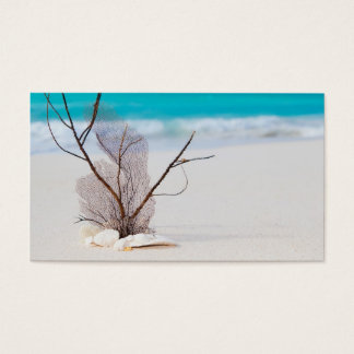 beach and sea-concept beach beach beauty blue cari