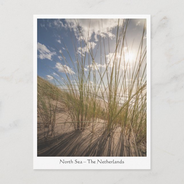 Beach and Sun Nature Foto Postkarte (Vorderseite)