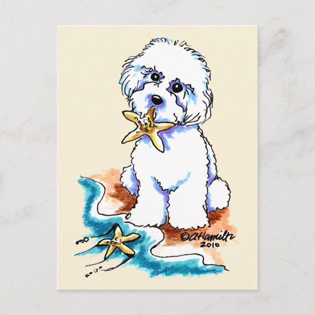Beach Babe Bichon Frise Postkarte (Vorderseite)