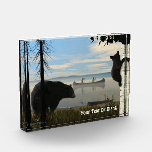 Beach Bears Fotoblock