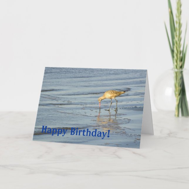 Beach Bird Happy Geburtstag 3 Karte (Vorderseite)