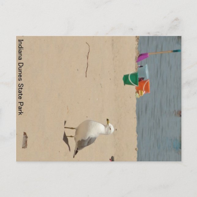 Beach Birdie Postkarte (Vorderseite)