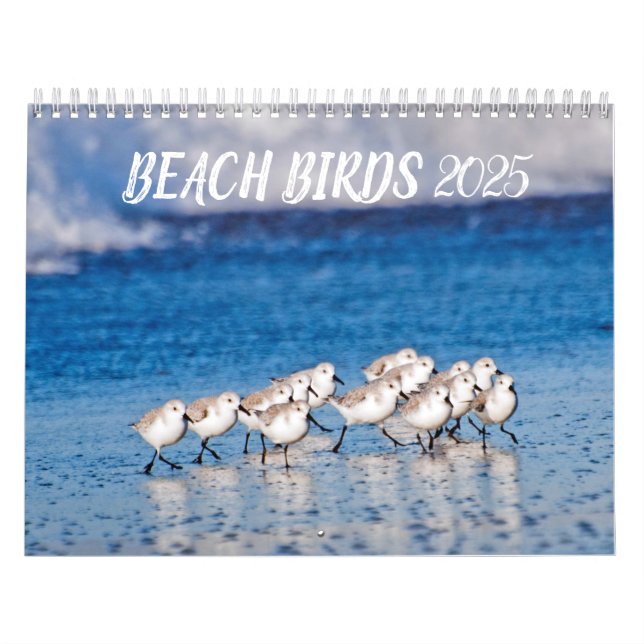 Beach Birds 2025 Kalender (Titelbild)