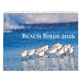 Beach Birds Fotografie Kalender