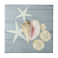 Beach Blue Hütte Starfish Sanddollar Conch Muschel