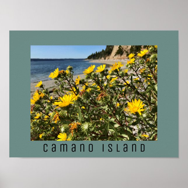 Beach Camano Island Washington Fotograf Poster (Vorne)