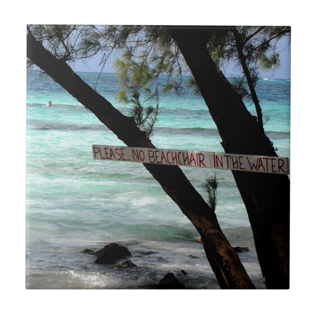 Beach Chairs Rum Point Grand Cayman Fliese (Vorderseite)