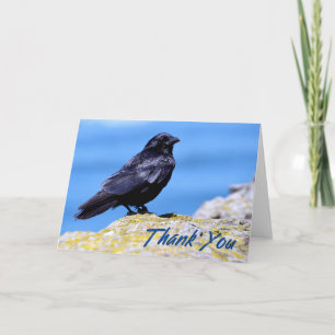 Beach Crow Foto Danke Karte