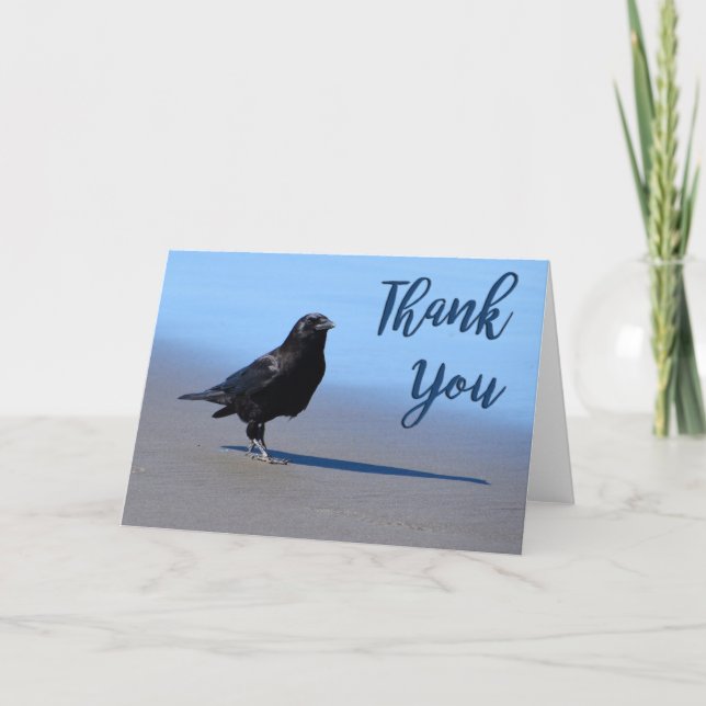 Beach Crow Foto Danke Karte (Vorderseite)