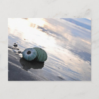 Beach Foto Postkarte