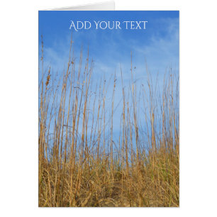 Beach Grass von Shirley Taylor