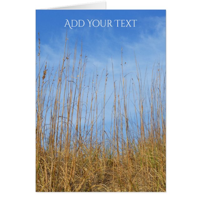 Beach Grass von Shirley Taylor (Vorne)