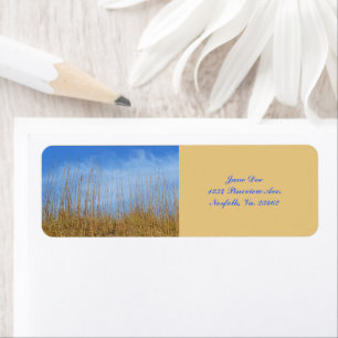 Beach Grass von Shirley Taylor