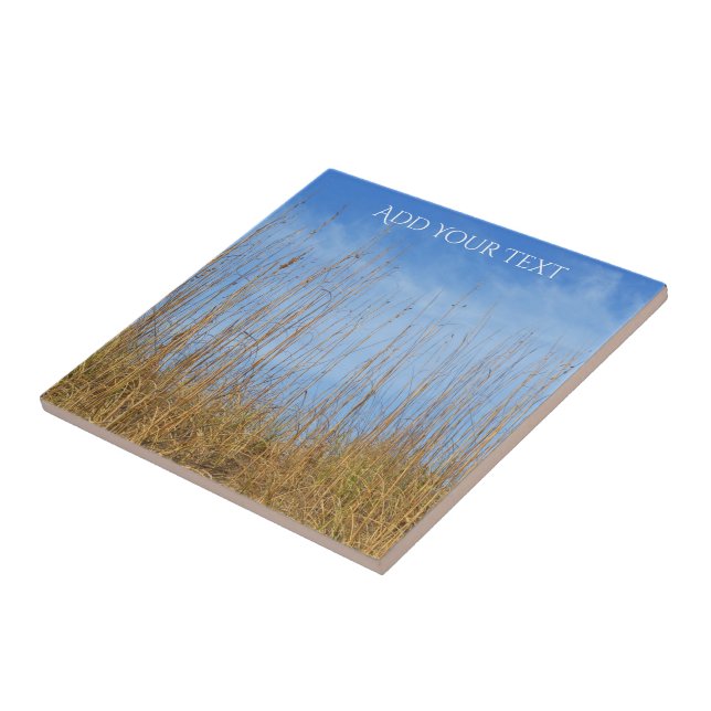 Beach Grass von Shirley Taylor Fliese (Seite)
