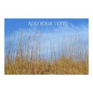 Beach Grass von Shirley Taylor Fotodruck