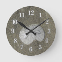 Beach House Seashore Sand Dollar Coastal Home