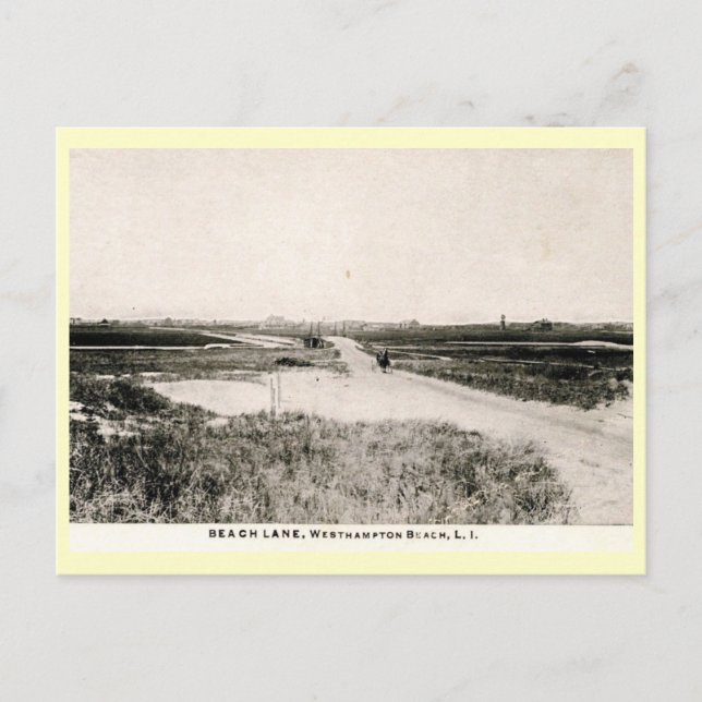 Beach Lane, Westhampton, New York Vintag Postkarte (Vorderseite)
