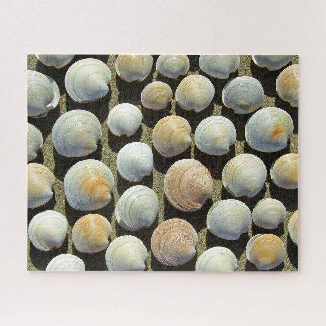BEACH-MUSCHELN 16x20 INCH (Horizontal)