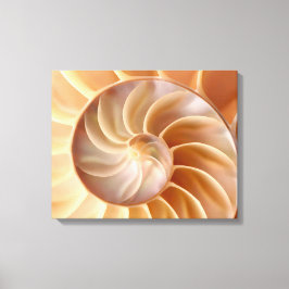 Beach Nautilus Muschel Art Canvas Print Leinwanddruck