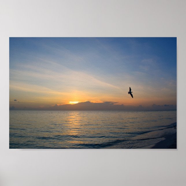 Beach Ocean Sunset Foto 195 Poster (Vorne)