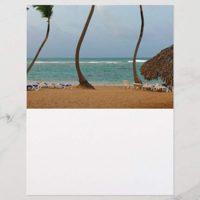 Beach Palm (Vorderseite)