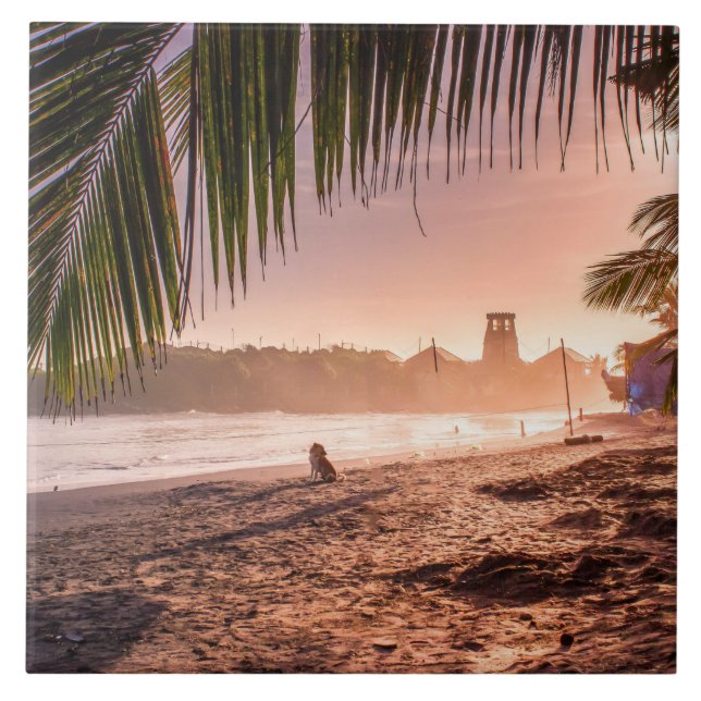 Beach Palm Tree Calm Sunset Fliese (Vorderseite)