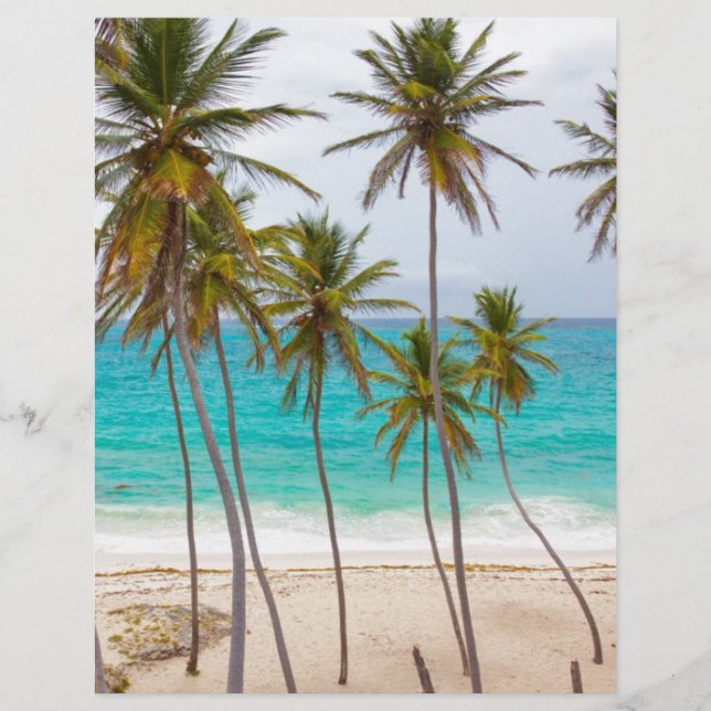 Beach Palms (Vorderseite)