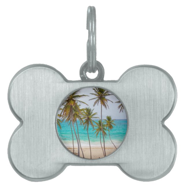 Beach Palms Tiermarke (Vorderseite)