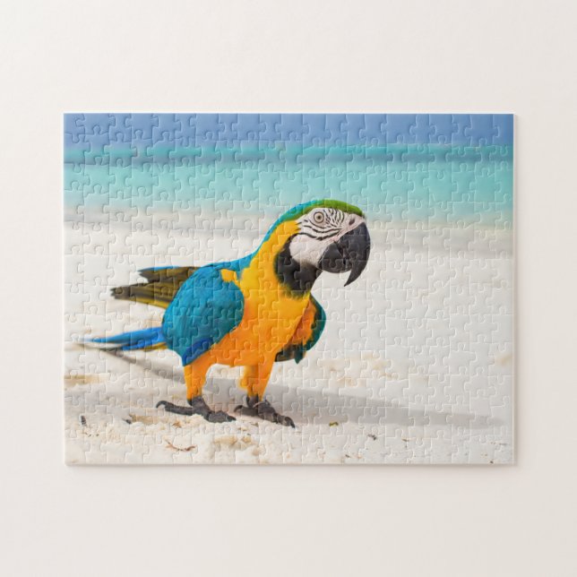 Beach Parrot (Horizontal)
