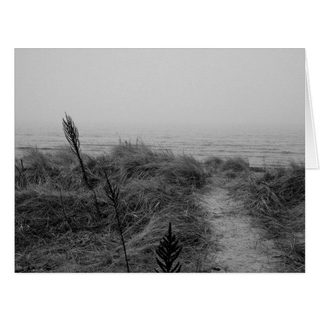 Beach path (Devant horizontal)