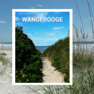 Beach Path, Sand Dunes, Wangerooge, Ostfriesland Postkarte