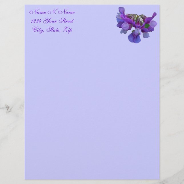 Beach Pea (Lathyrus maritimus) Letterhead Briefkopf (Vorderseite)
