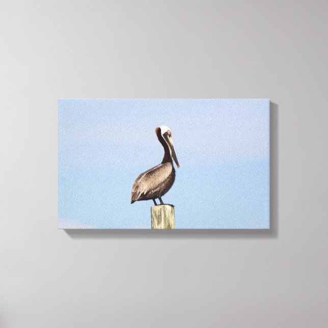 Beach Pelican Fishing Leinwand Fotografie (Vorderseite)