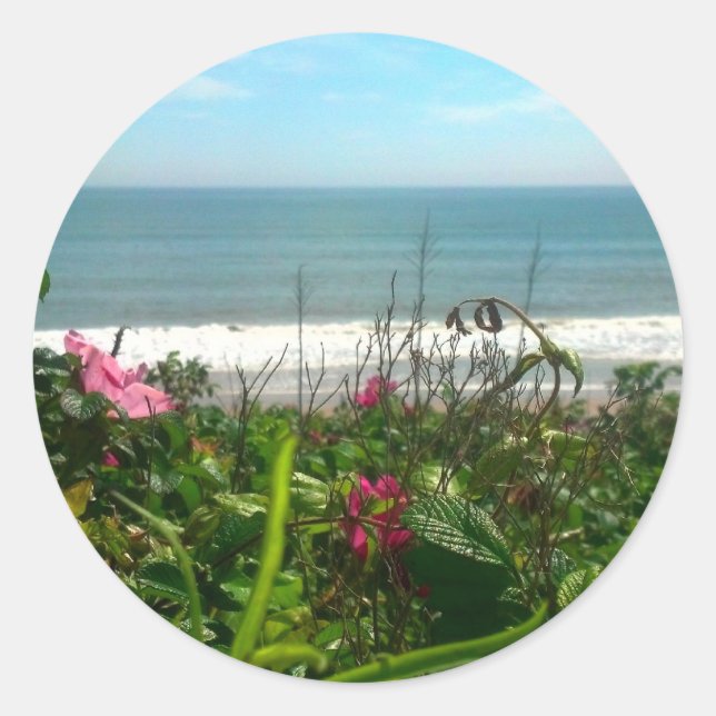 Beach Plum Beach Bum Runder Aufkleber (Vorderseite)