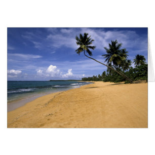 Beach Porto Rico 2