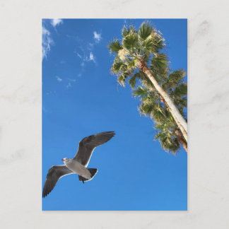 Beach Post Card Postkarte