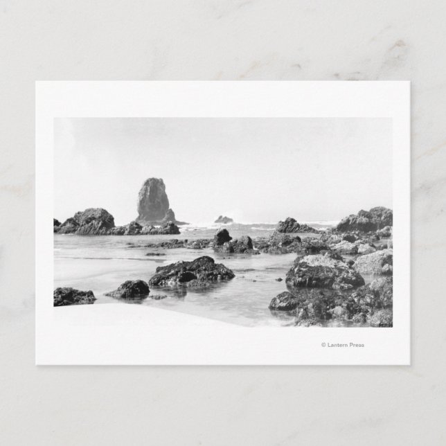 Beach Scene at Cannon Beach, Oregon Fotografie Postkarte (Vorderseite)