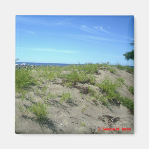 Beach Scene Foto Magnet