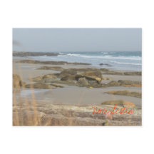 Beach Scene Nova Scotia Rissers Southshore