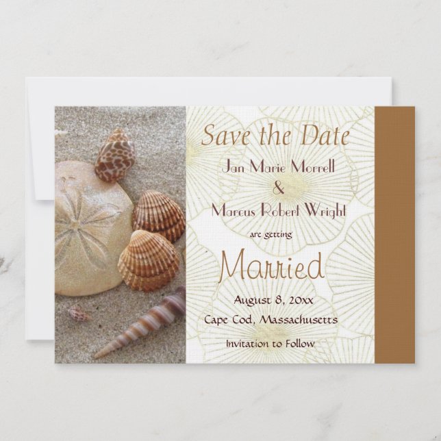 Beach Sea Shells Enregistrer la carte Date (Devant)