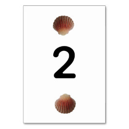 Beach Seashell Clams Wedding Tischnummer