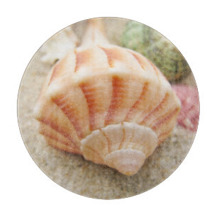 Beach Seashell Foto Coastal Schneidebrett